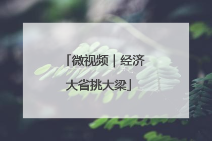 微视频｜经济大省挑大梁