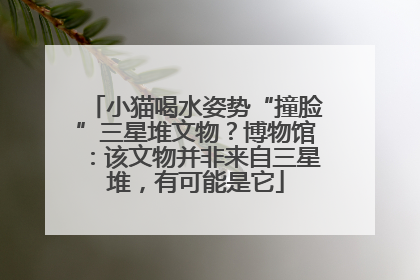 小猫喝水姿势“撞脸”三星堆文物？博物馆：该文物并非来自三星堆，有可能是它