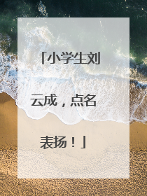 小学生刘云成，点名表扬！