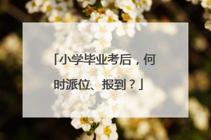 小学毕业考后，何时派位、报到？