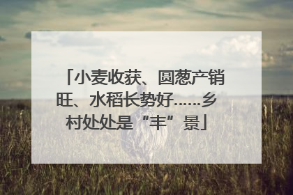 小麦收获、圆葱产销旺、水稻长势好……乡村处处是“丰”景