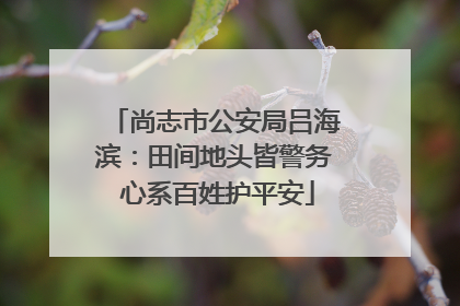 尚志市公安局吕海滨：田间地头皆警务 心系百姓护平安