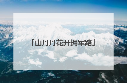 山丹丹花开拥军路