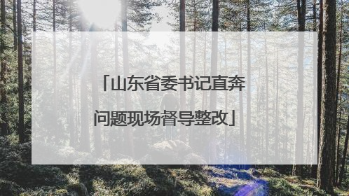 山东省委书记直奔问题现场督导整改