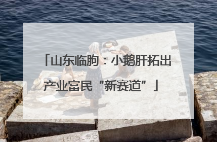 山东临朐：小鹅肝拓出产业富民“新赛道”