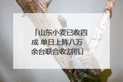 山东小麦已收四成 单日上阵八万余台联合收割机