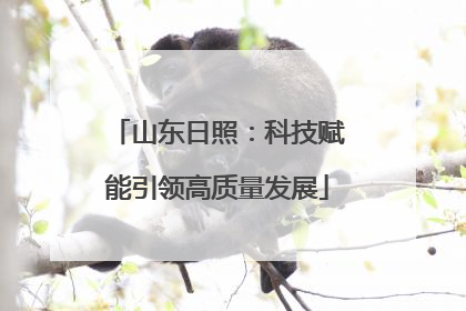 山东日照：科技赋能引领高质量发展