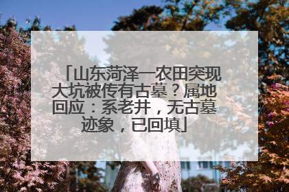 山东菏泽一农田突现大坑被传有古墓？属地回应：系老井，无古墓迹象，已回填