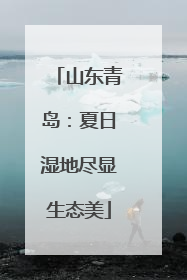山东青岛：夏日湿地尽显生态美