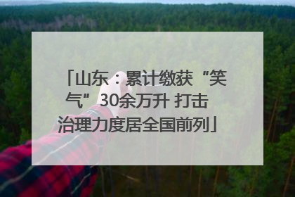 山东：累计缴获“笑气”30余万升 打击治理力度居全国前列