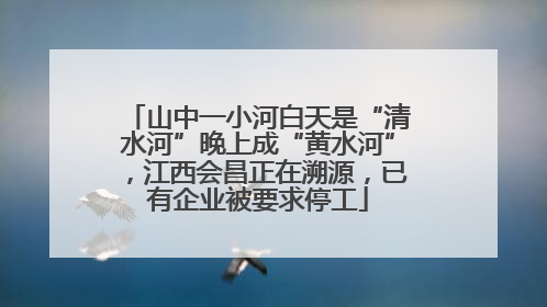 山中一小河白天是“清水河”晚上成“黄水河”，江西会昌正在溯源，已有企业被要求停工
