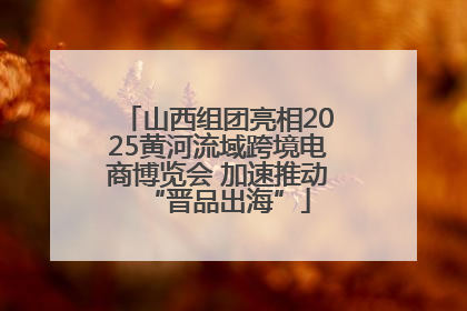 山西组团亮相2025黄河流域跨境电商博览会 加速推动“晋品出海”