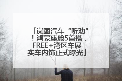 岚图汽车“听劝”！鸿蒙座舱5首搭，FREE+湾区车展实车内饰正式曝光