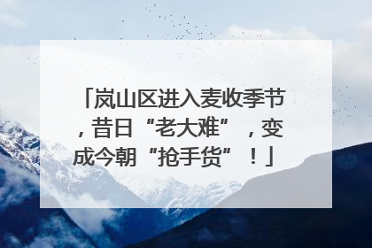 岚山区进入麦收季节，昔日“老大难”，变成今朝“抢手货”！