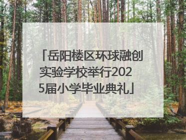 岳阳楼区环球融创实验学校举行2025届小学毕业典礼