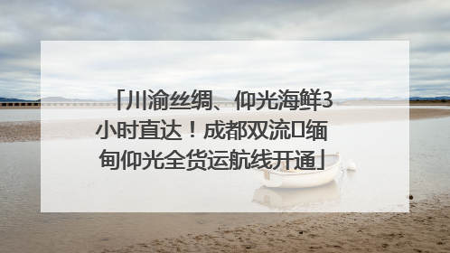 川渝丝绸、仰光海鲜3小时直达！成都双流⇌缅甸仰光全货运航线开通