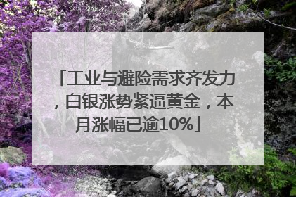 工业与避险需求齐发力，白银涨势紧逼黄金，本月涨幅已逾10%