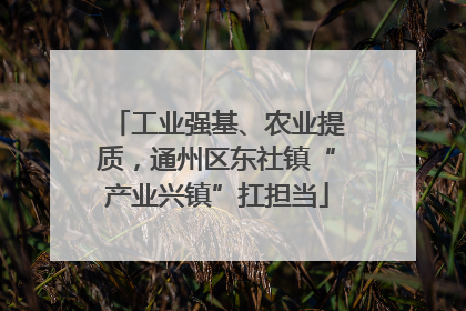 工业强基、农业提质，通州区东社镇“产业兴镇”扛担当