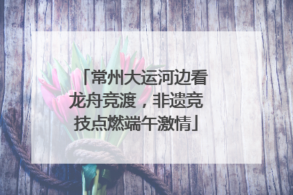 常州大运河边看龙舟竞渡，非遗竞技点燃端午激情