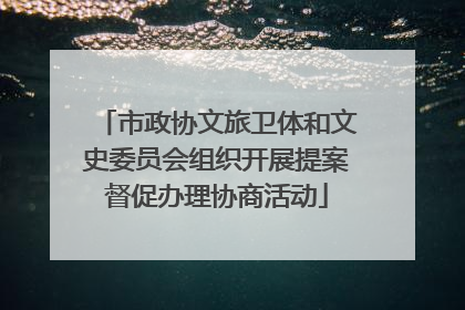 市政协文旅卫体和文史委员会组织开展提案督促办理协商活动