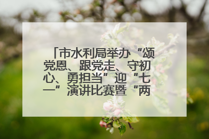 市水利局举办“颂党恩、跟党走、守初心、勇担当”迎“七一”演讲比赛暨“两优一先”表彰活动