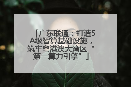 广东联通：打造5A级智算基础设施，筑牢粤港澳大湾区“第一算力引擎”