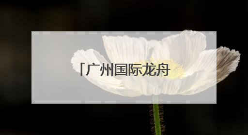 广州国际龙舟邀请赛落幕