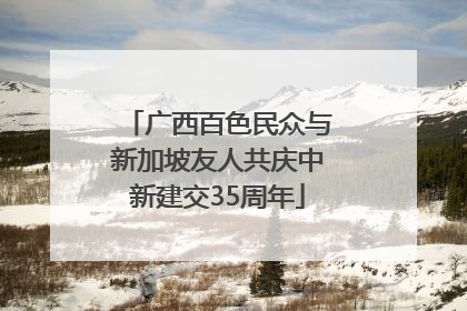 广西百色民众与新加坡友人共庆中新建交35周年