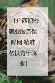 广西织密就业服务保障网 精准帮扶青年就业