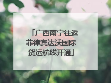 广西南宁往返菲律宾达沃国际货运航线开通