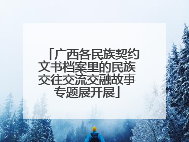 广西各民族契约文书档案里的民族交往交流交融故事专题展开展