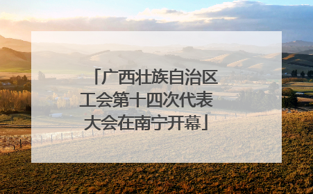 广西壮族自治区工会第十四次代表大会在南宁开幕