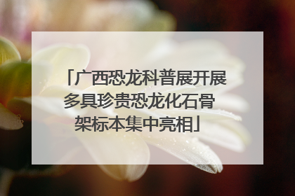 广西恐龙科普展开展 多具珍贵恐龙化石骨架标本集中亮相