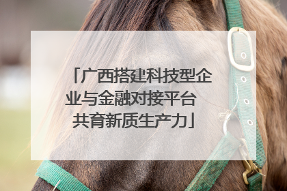 广西搭建科技型企业与金融对接平台 共育新质生产力