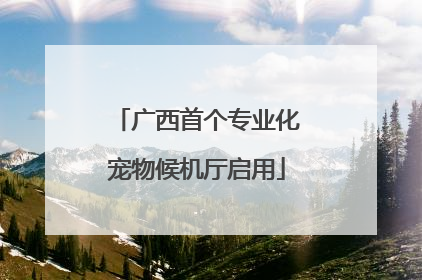 广西首个专业化宠物候机厅启用
