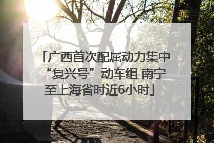 广西首次配属动力集中“复兴号”动车组 南宁至上海省时近6小时