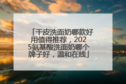干皮洗面奶哪款好用值得推荐，2025氨基酸洗面奶哪个牌子好，温和在线