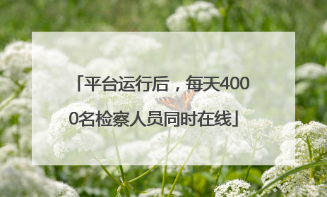 平台运行后，每天4000名检察人员同时在线