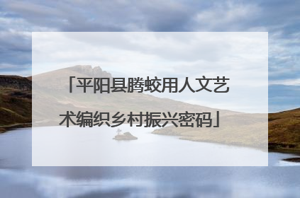 平阳县腾蛟用人文艺术编织乡村振兴密码