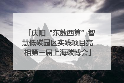 庆阳“东数西算”智慧低碳园区实践项目亮相第三届上海碳博会
