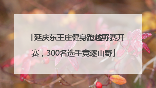 延庆东王庄健身跑越野赛开赛，300名选手竞逐山野