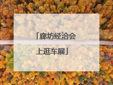 廊坊经洽会上逛车展