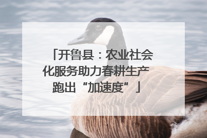 开鲁县：农业社会化服务助力春耕生产跑出“加速度”