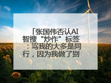 张国伟否认AI智搜“炒作”标签：骂我的大多是同行，因为我做了别人做不了的事