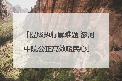 提级执行解难题 漯河中院公正高效暖民心