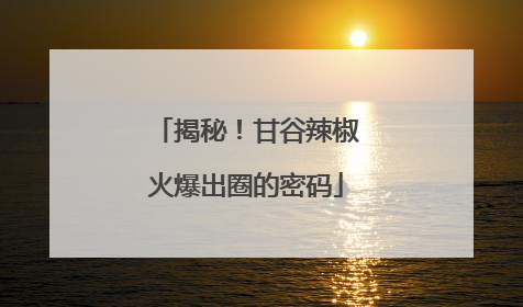 揭秘！甘谷辣椒火爆出圈的密码