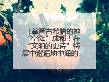 掌管古希腊的神“空降”成都！在“文明的史诗”特展中邂逅地中海的文明长卷