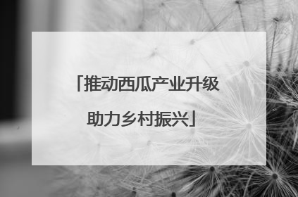 推动西瓜产业升级 助力乡村振兴