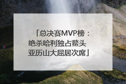 总决赛MVP榜：绝杀哈利独占鳌头 亚历山大屈居次席