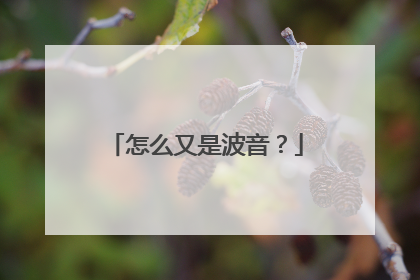怎么又是波音？